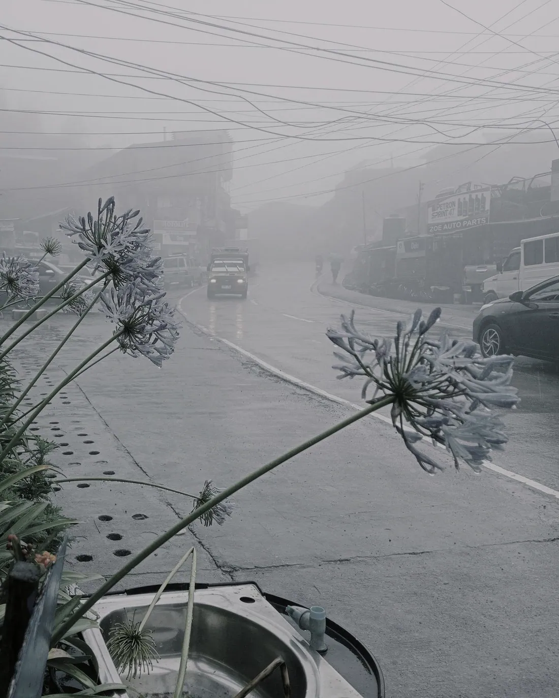 A Benguet highland road swallowed by afternoon fog